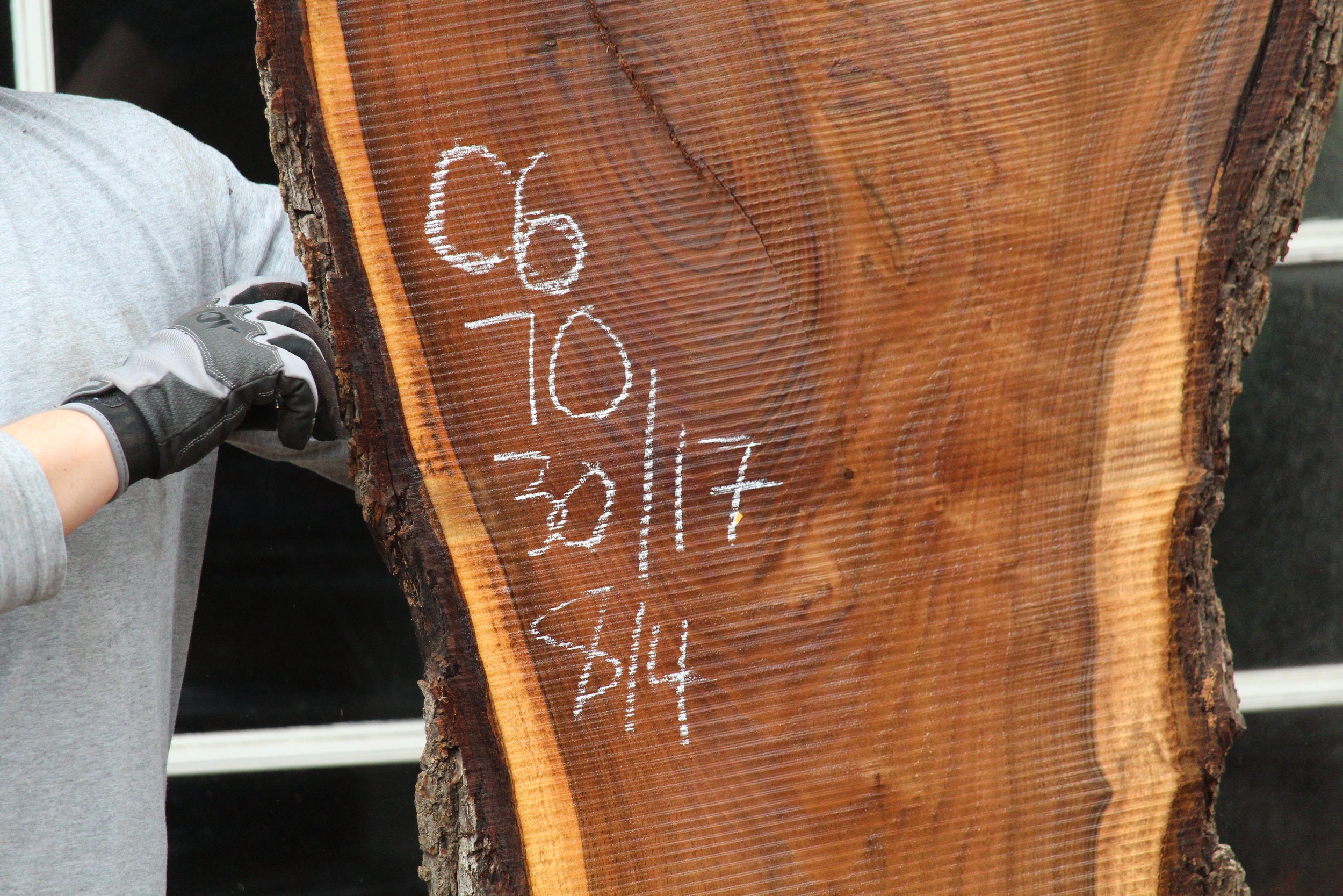 Walnut Slab C6