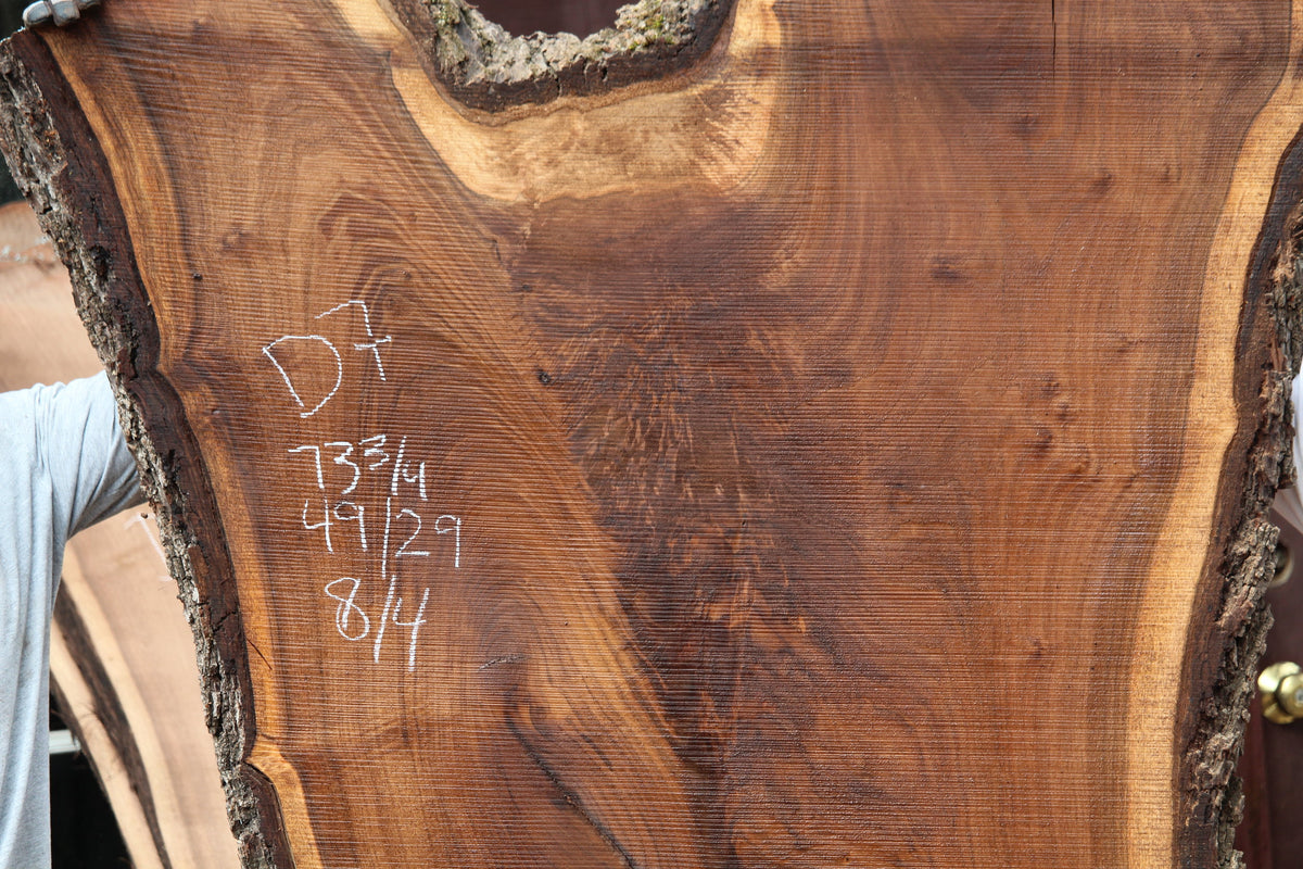 Walnut Slab D7