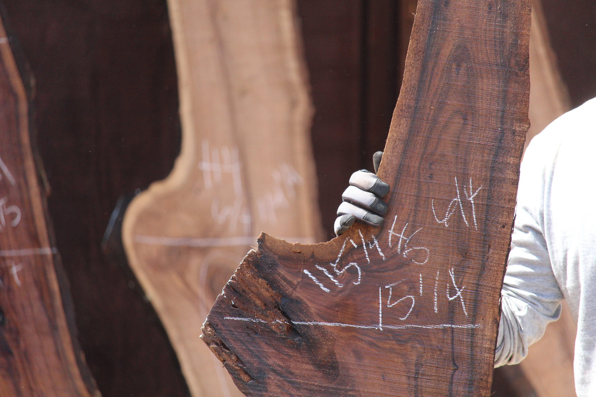 Walnut Slab H6