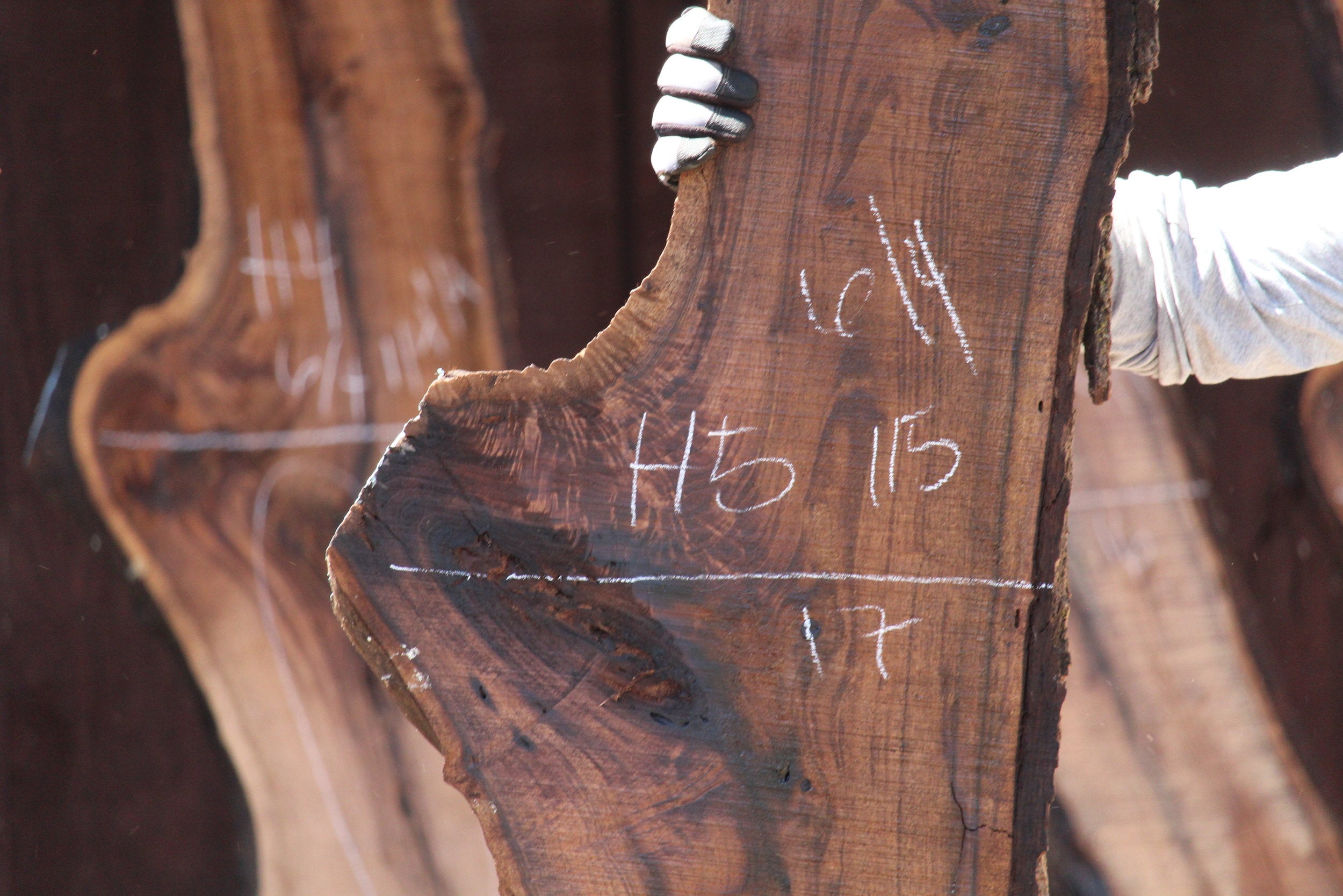 Walnut Slab H5