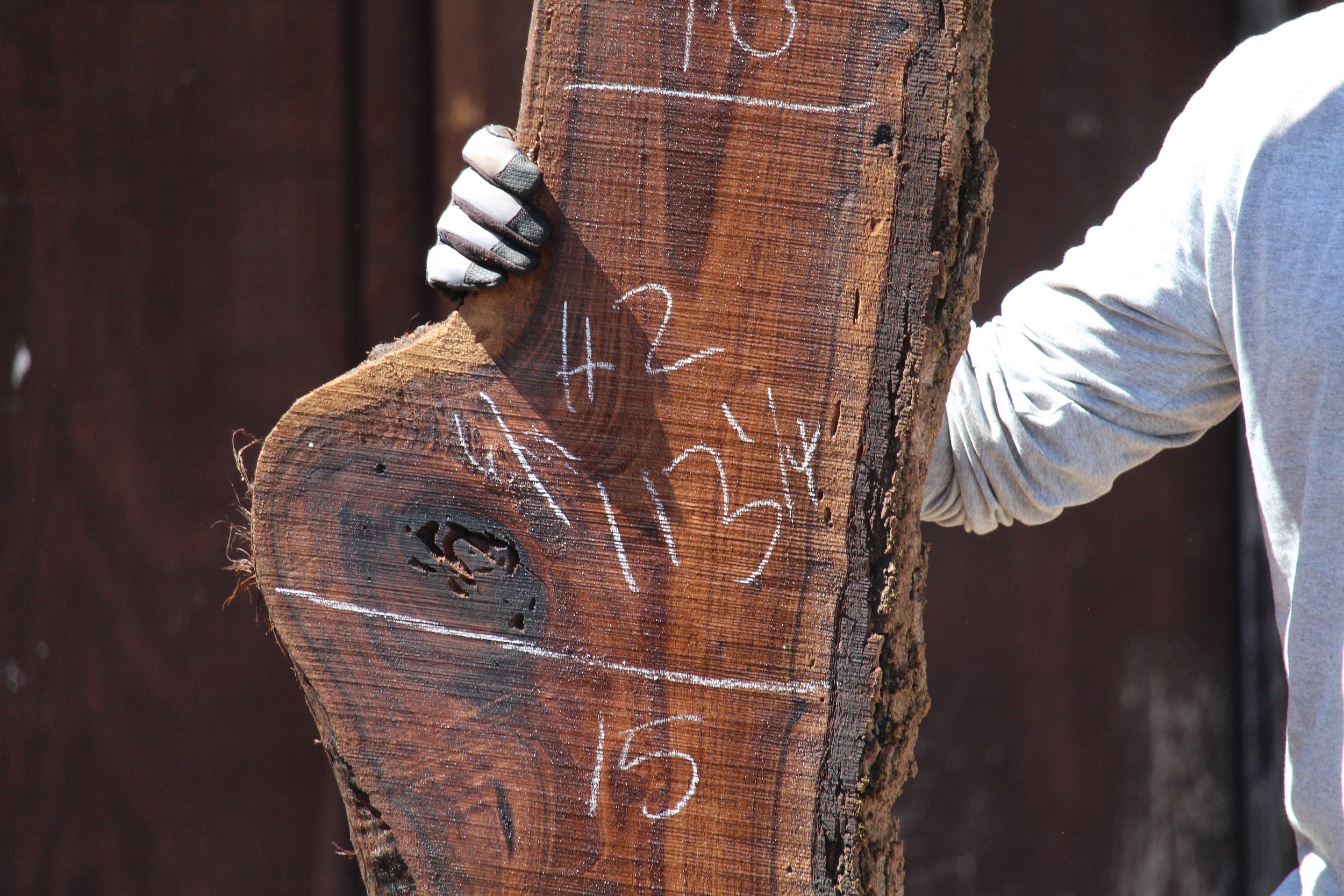 Walnut Slab H2