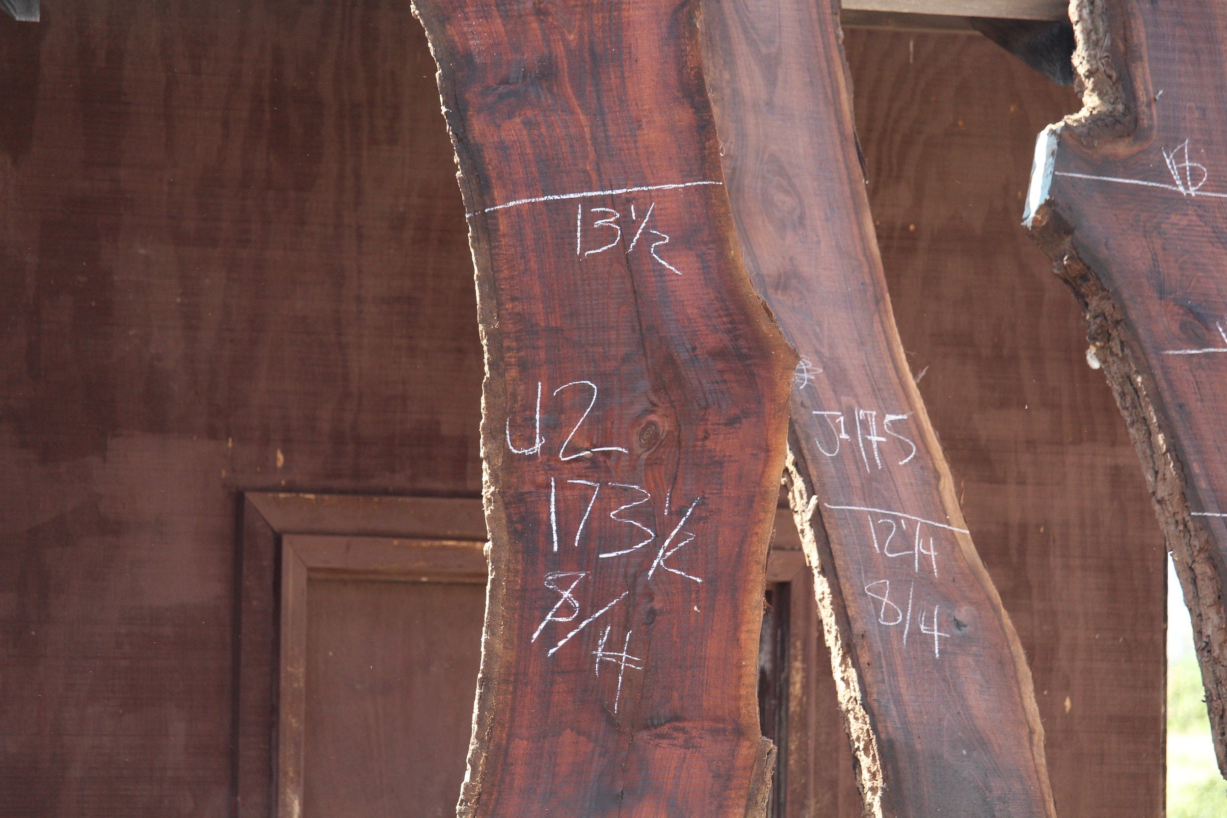 Walnut Slab J2
