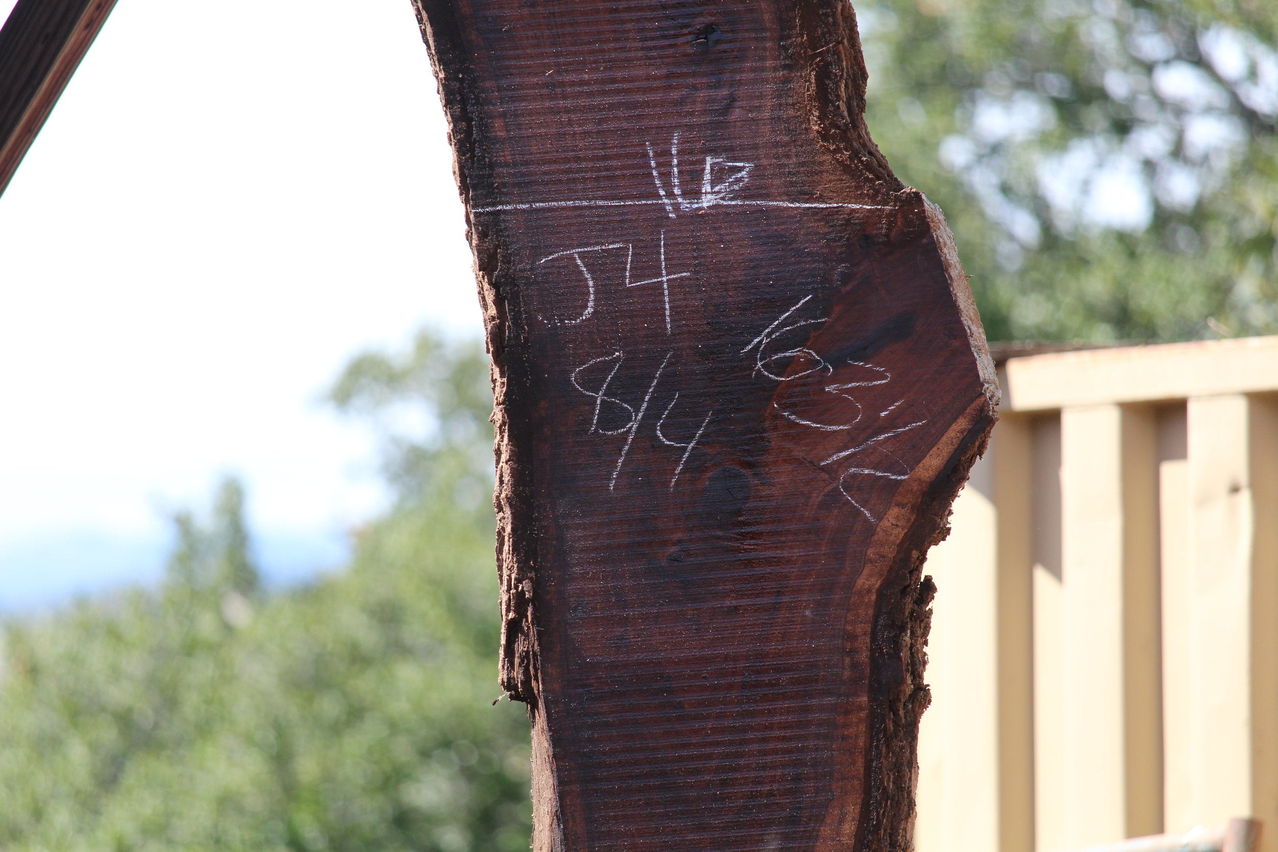 Walnut Slab J4