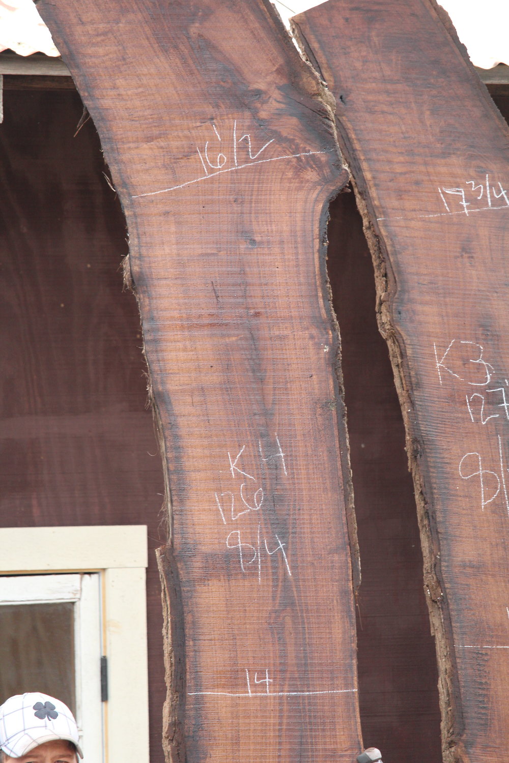Walnut Slab K4