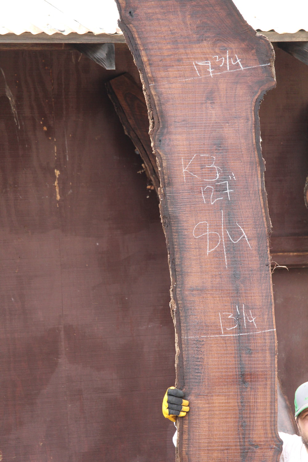 Walnut Slab K3